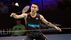 Essays on Lee Chong Wei